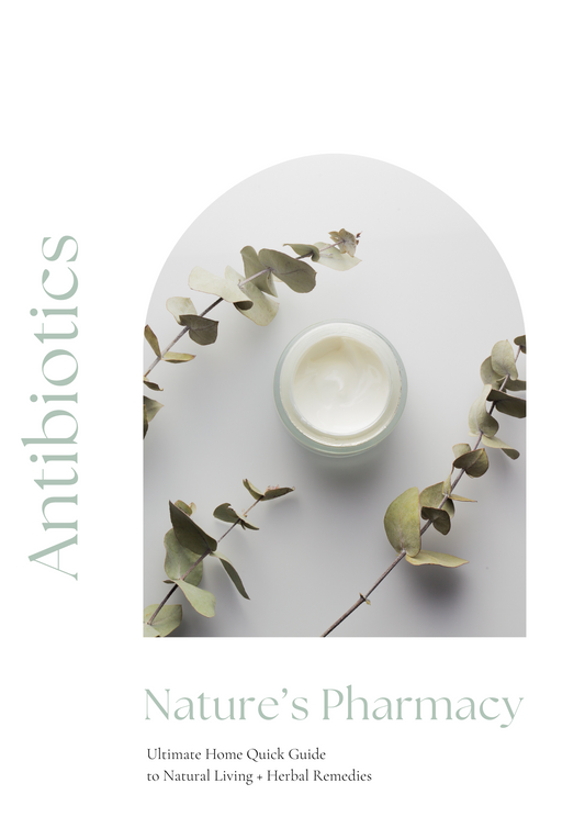 Unlock the Power of Nature: 10 Natural Antibiotics eBook